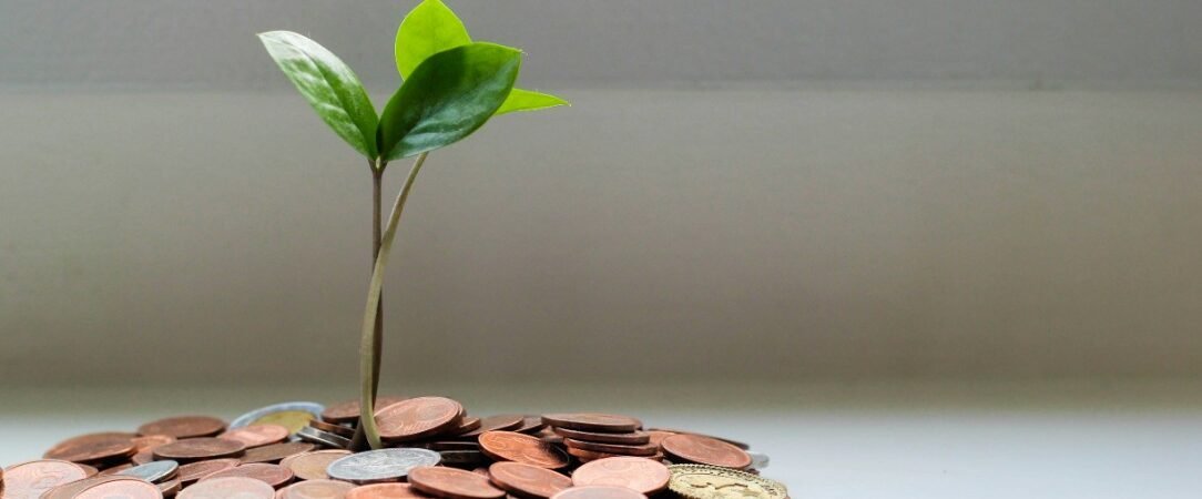 Unlocking Wealth: The Power of Dividend Growth Investing